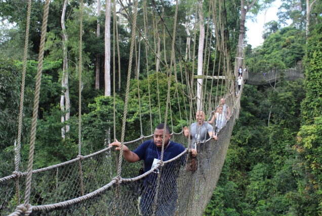 People walk across a rope suspension bridge through the Aburi forest canopy, a scene from Treetops, Castles & Coastal Adventures.