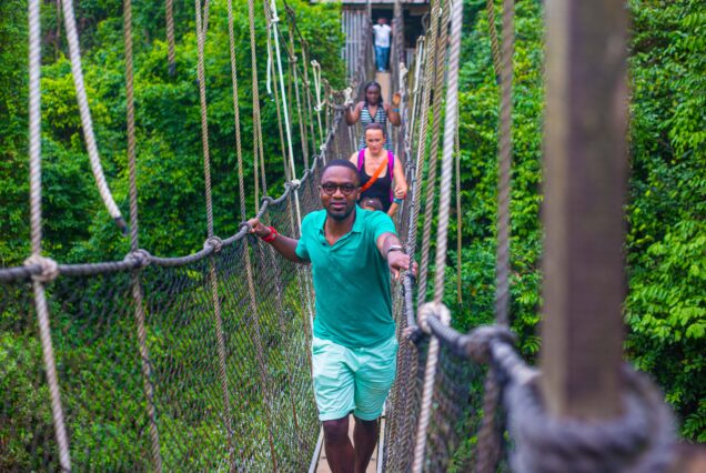 A man in a green shirt and others walk across a rope bridge in a dense forest during a Treetops, Castles & Coastal Adventures day trip.